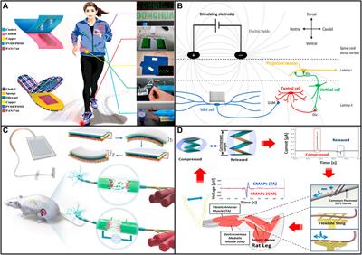 Nerve Stimulation by Triboelectric Nanogenerator Based on Nanofibrous Membrane for Spinal Cord Injury